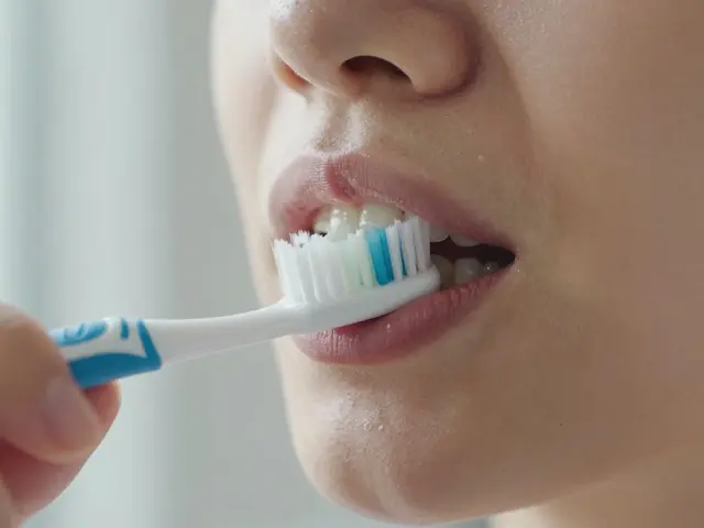 Jakou tvrdost zubního kartáčku vybrat? Praktický průvodce pro zdravé zuby a dásně